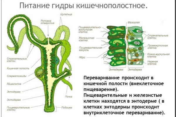 Omg официальный сайт ссылка