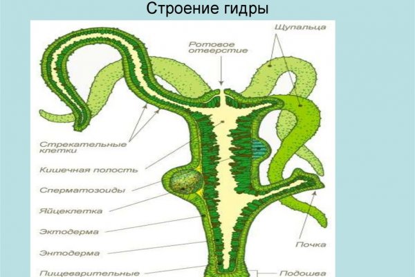 Ссылка омг сайт официальный сайт