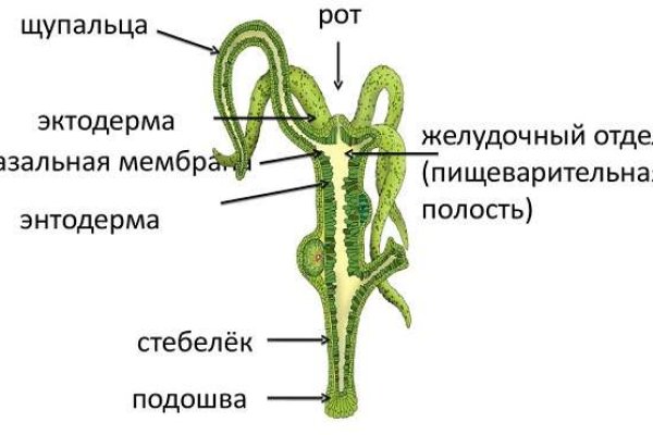 Омг омг сайт официальный